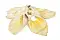 TiTBiT лакомство для собак ухо говяжье XXL #2